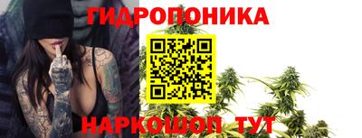 гашик Канаш