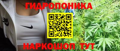 spice Кандалакша