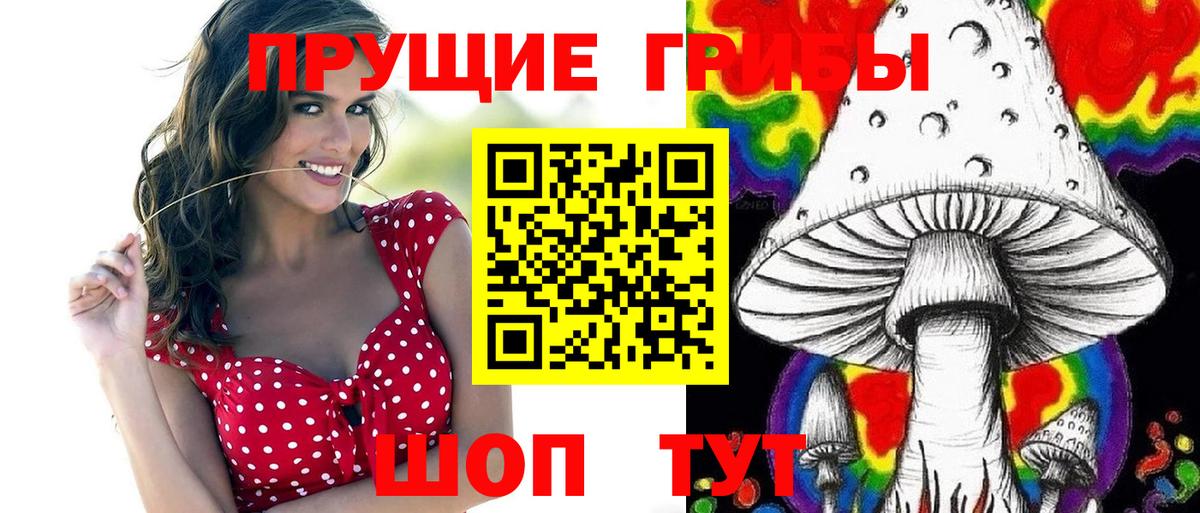 Псилоцибиновые грибы ЛСД  Галлюциногенные грибы Magic Shrooms  Вход с VPN  где купить наркотик  Шадринск 